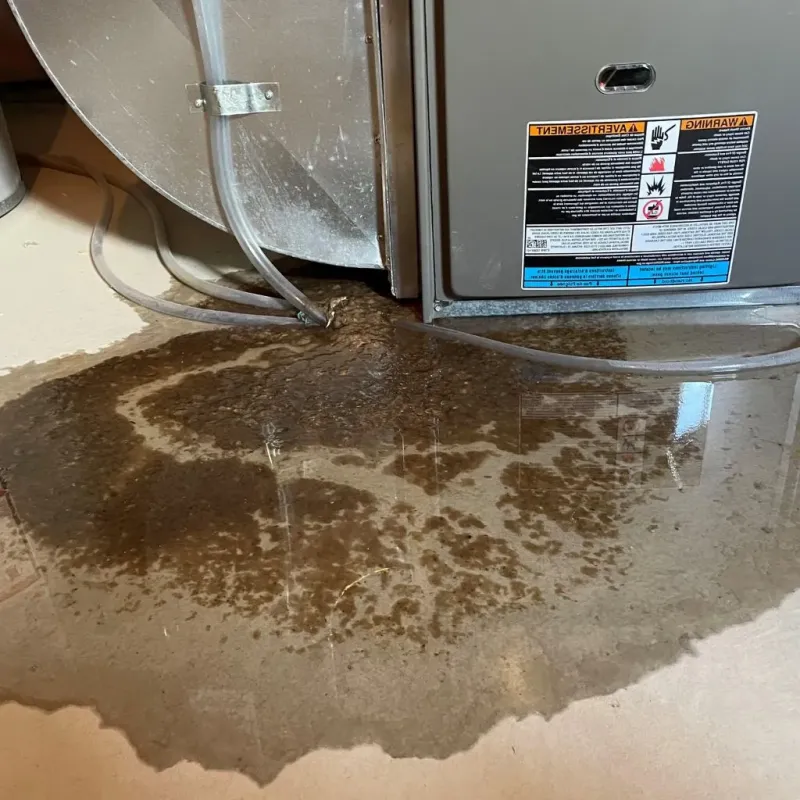 Pipe Burst and Leak Restoration in Winnetka, IL